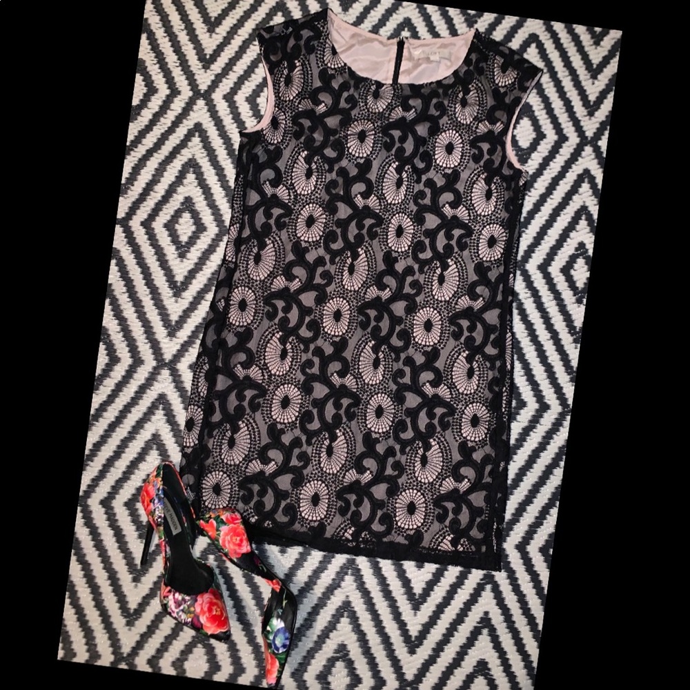Loft dress size 8